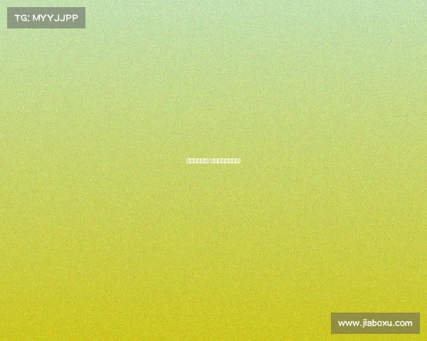 篮球赛事美国(美国篮球国际赛事)